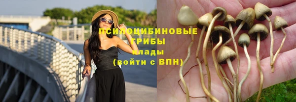 прущие грибы Алексин