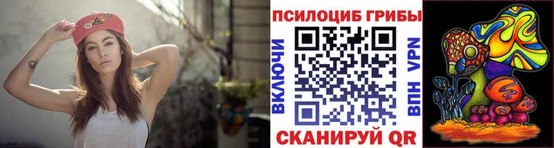 darknet официальный сайт  Самара  Псилоцибиновые грибы Cubensis 